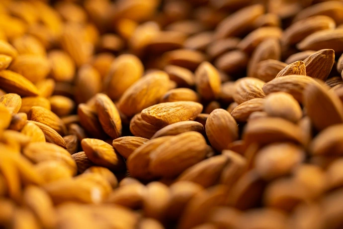 a close up of a bunch of nuts